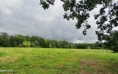 Tbd Woodland, Seneca, MO 64865 - photo 4