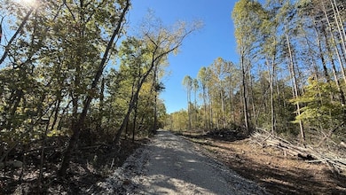 0 E Mineral-Koleen Rd unit LotWP001 21731527, Owensburg, IN 47453 - photo 3