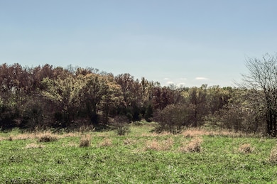 Tract 3 E 425th Rd, Fair Play, MO 65649 - photo 3