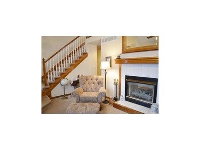 See-Thru Fireplace