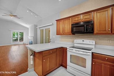 312 Paoli Trace, Loudon, TN 37774 - photo 6