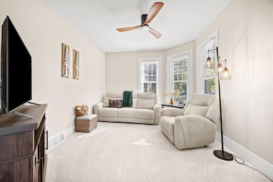 801 N Carver St, Winthrop, MN 55396 - photo 4