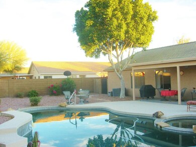 View of Back Yard