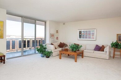 Imperial Towers unit 910, Chestnut Hill, MA 02467 - photo 3