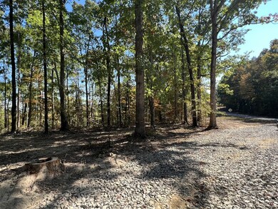 0 Highway 232 unit 128207, Stewart, TN 37175 - photo 3