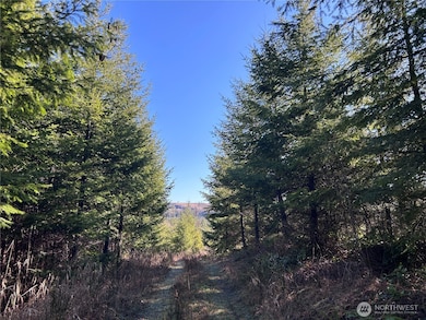 0 NKA Salmon Creek Rd, Toledo, WA 98591 - photo 7