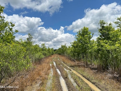 0 Brahan Rd, Sledge, MS 38670 - photo 4