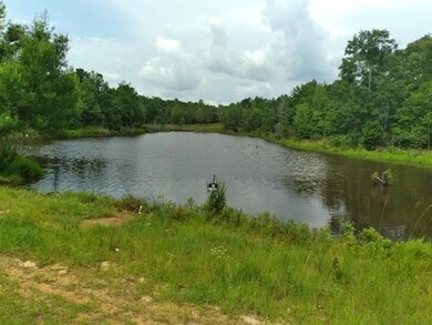 1/6 recorded deeded interest in Pond just a few fe