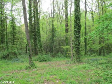 Other - Large wooded and private back yard