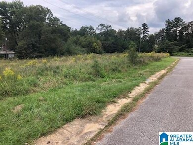 0 Sarasota Ln unit 2 1299830, Calera, AL 35040 - photo 2