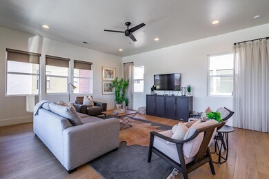 LIVING ROOM 3