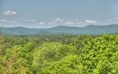 Additional View