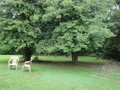 Level back yard...