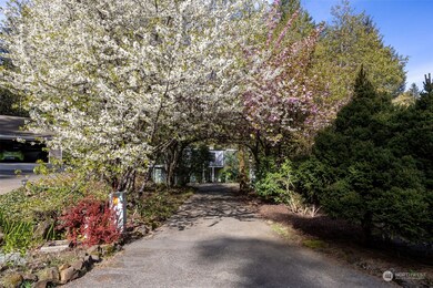 Cherry Blossom Drive