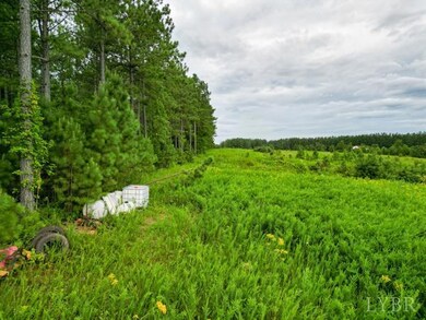0 Red Oak School Rd unit 360685, Rustburg, VA 24588 - photo 6