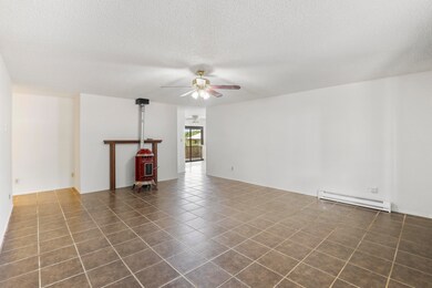 Living Room Fireplace