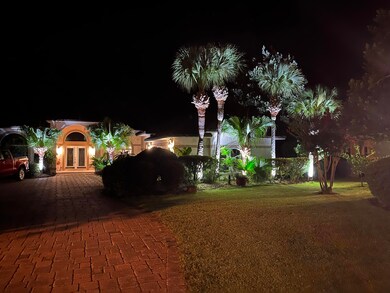 night pic