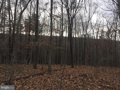 Unknown Owl Ln, Gore, VA 22637 - photo 3