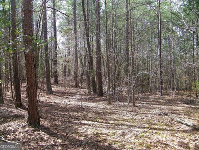 LOT 5 Blackberry Bend, Elberton, GA 30635 - photo 5