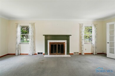 Wood Burning Fireplace