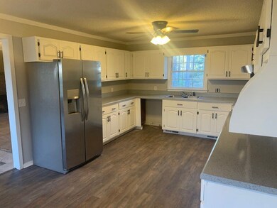 233 Pine Trail Rd, Moultrie, GA 31768 - photo 2