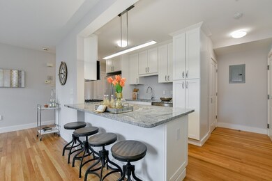 195 Harvey St unit 3, Cambridge, MA 02140 - photo 5