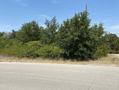 100 Paula Ct, Granbury, TX 76049 - photo 4