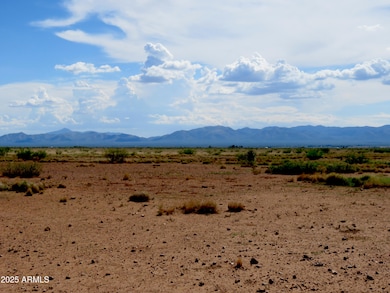 TBD N Ee Ranch Lot 4 Rd unit 4, McNeal, AZ 85617 - photo 4