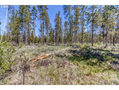 56095 Black Duck Rd, Bend, OR 97707 - photo 7