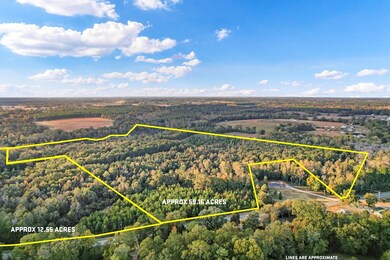 71.73 acres County Road 203, Dothan, AL 36301 - photo 2