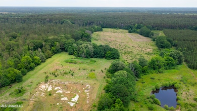 45 Acres Horseshoe Ln-4