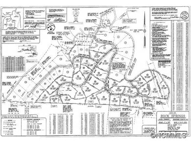 49 Timber Moss Dr, Asheville, NC 28804 - photo 4