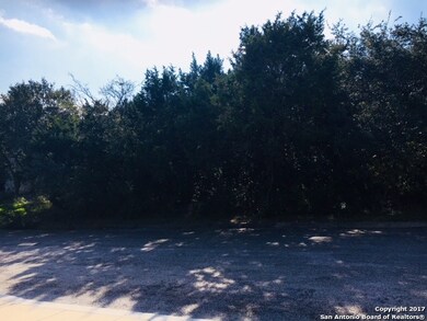 11216 Indian Caves, Helotes, TX 78023 - photo 3