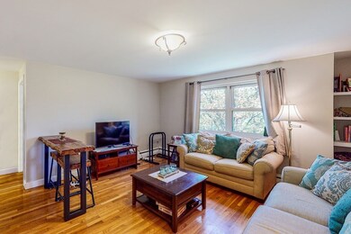 105 Chestnut St unit 5, Brookline, MA 02445 - photo 5