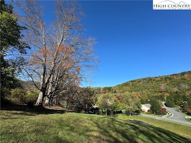 10 Orchard Ln, Banner Elk, NC 28604 - photo 6