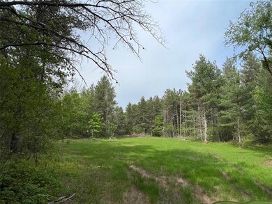 0 120th Street St unit 6464858, Chippewa Falls, WI 54729 - photo 2