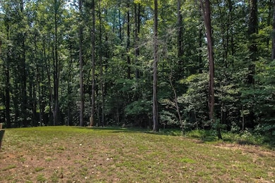 3177 Rodgers Creek Rd, Ellijay, GA 30540 - photo 2