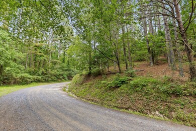 Tract 2 Conniston Rd, Chatsworth, GA 30705 - photo 6