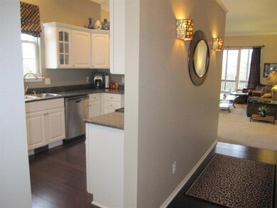 3420 Huron View Ct, Dexter, MI 48130 - photo 4