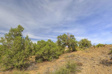 7501 Las Brisas Trail, Farmington, NM 87402 - photo 5