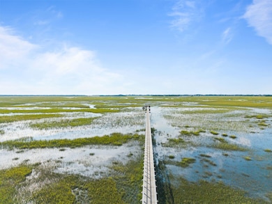 1517 Mossy Branch Way, Mount Pleasant, SC 29464 - photo 2