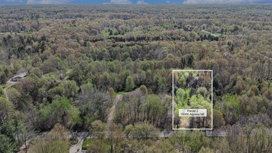 V/L Par 2 Algoma Ave NE, Cedar Springs, MI 49319 - photo 5