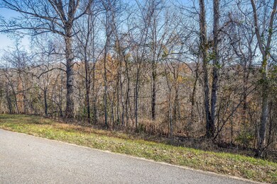 0 Simmons Rd, Sparta, TN 38583 - photo 5