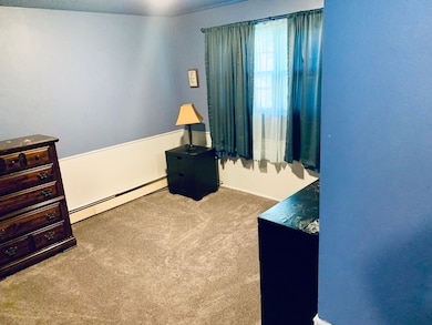 800 Violet Ln, Matteson, IL 60443 - photo 2