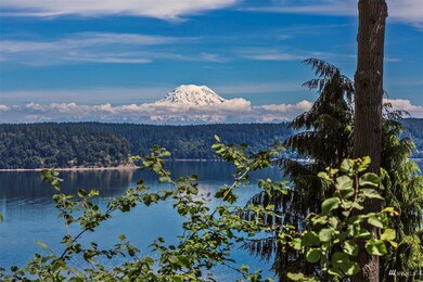 10915 Seaview Dr unit AI, Anderson Island, WA 98303 - photo 5