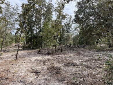 Partially cleared homesite
