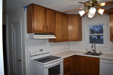 415 E Main St, Fremont, MI 49412 - photo 2