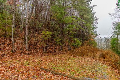 lot 4 Glenview Way, Sevierville, TN 37862 - photo 4
