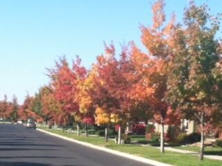 Lot 245 NW 13th St, Redmond, OR 97756 - photo 4