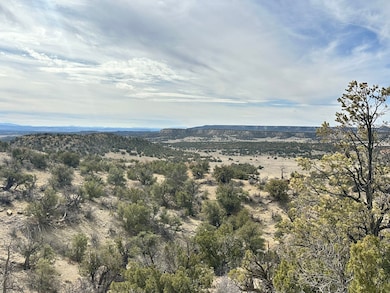 0 Nsn Highway 36 unit 25747166, Fence Lake, NM 87513 - photo 3